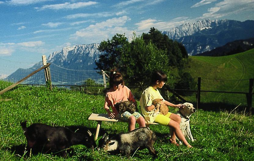 Berggasthof Bichlersee Обераудорф Экстерьер фото